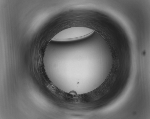 X0000116290382200912141318