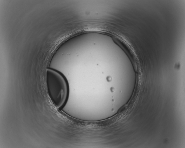 X0000116290385200912141317