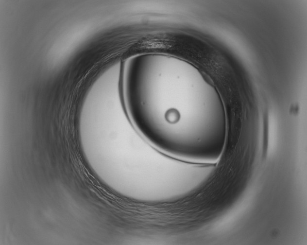 X0000116290387200912141317