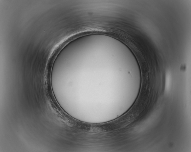 X0000116290388200912141317