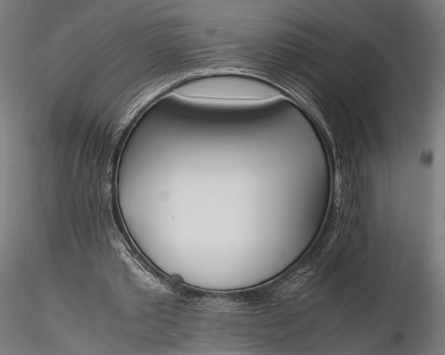 X0000116290389200912141317