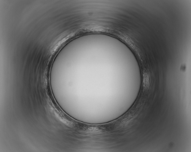 X0000116290390200912141317