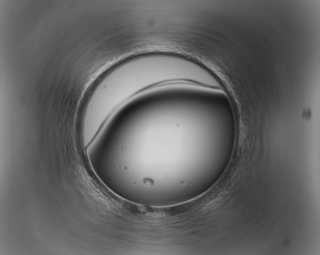 X0000116290391200912141317