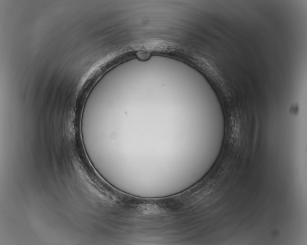 X0000116290392200912141317