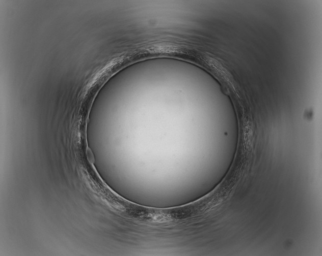 X0000116290395200912141317