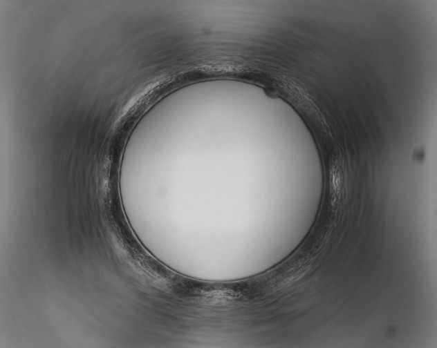 X0000116290396200912141317