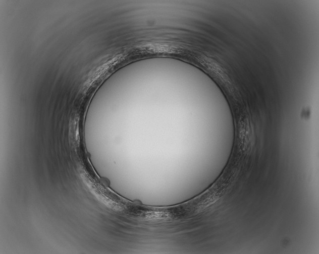 X0000116290398200912141317