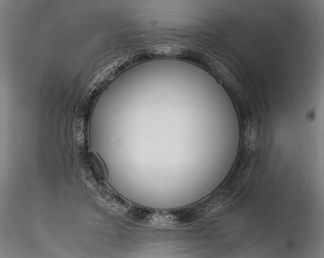 X0000116290403200912141317