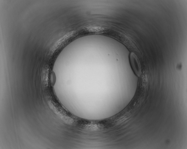 X0000116290404200912141317