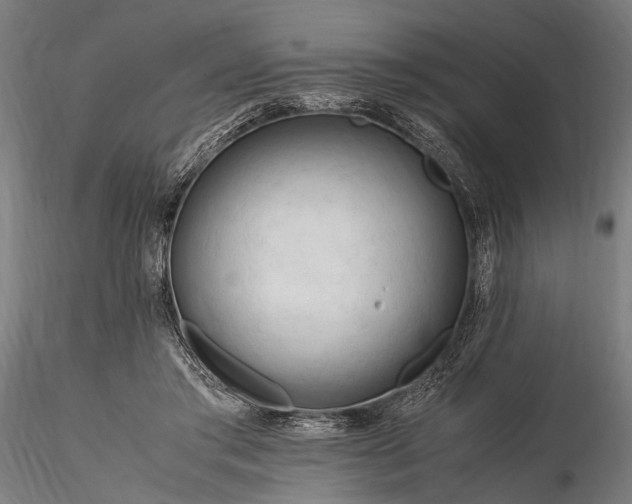 X0000116290405200912141317