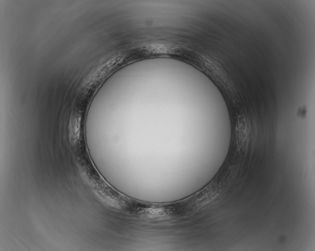 X0000116290406200912141317