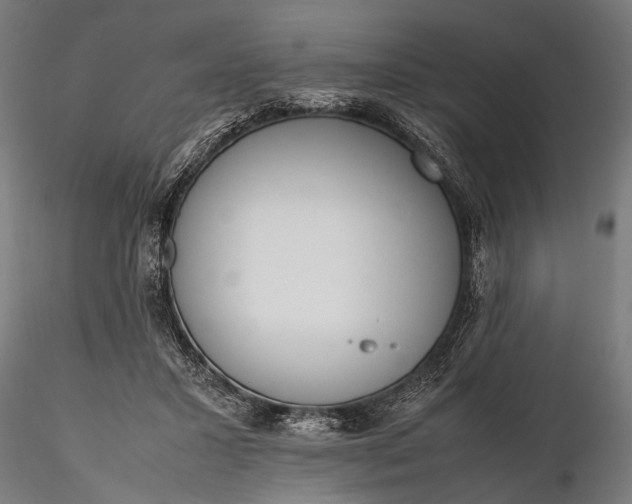 X0000116290407200912141317