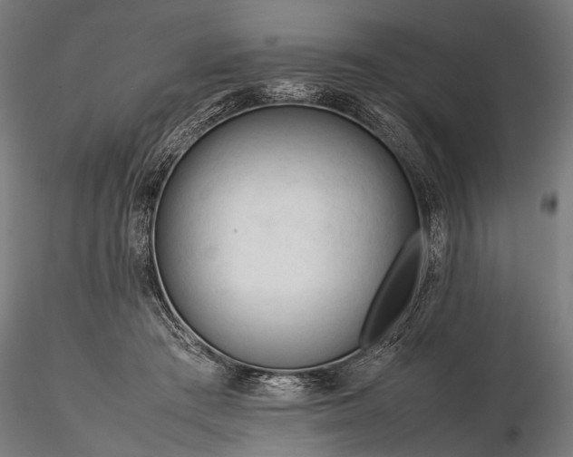 X0000116290409200912141317