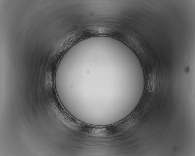 X0000116290410200912141317