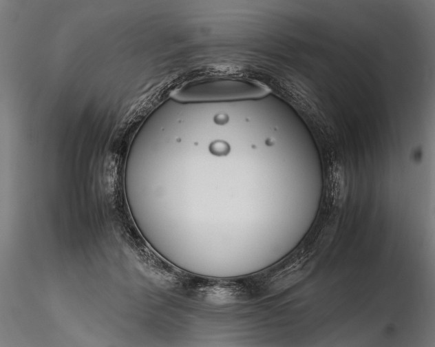 X0000116290412200912141316