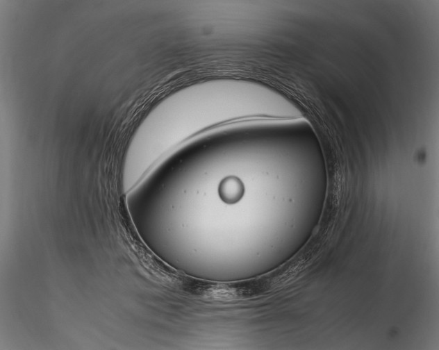 X0000116290413200912141316