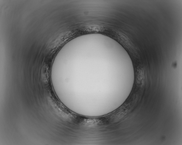 X0000116290414200912141316