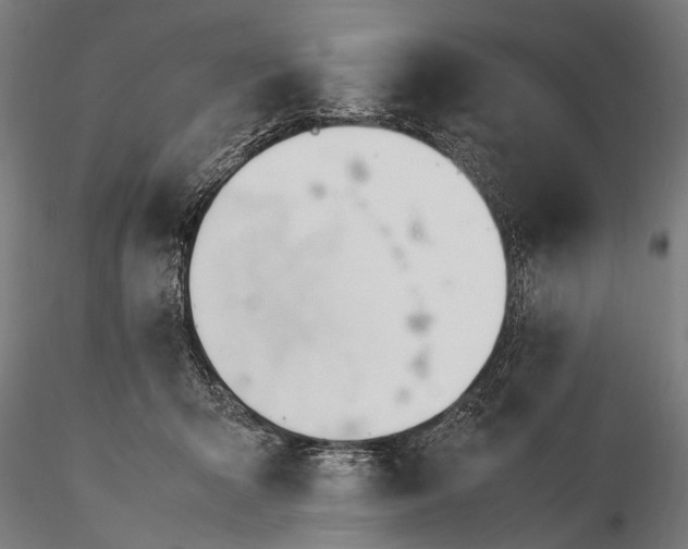 X0000116290415200912141316