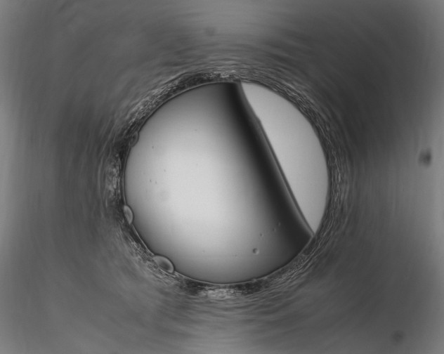 X0000116290417200912141316