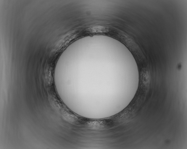 X0000116290422200912141316