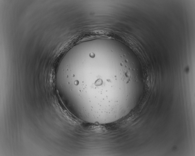 X0000116290424200912141316