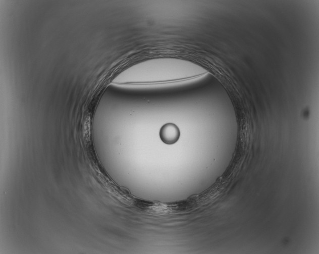 X0000116290425200912141316