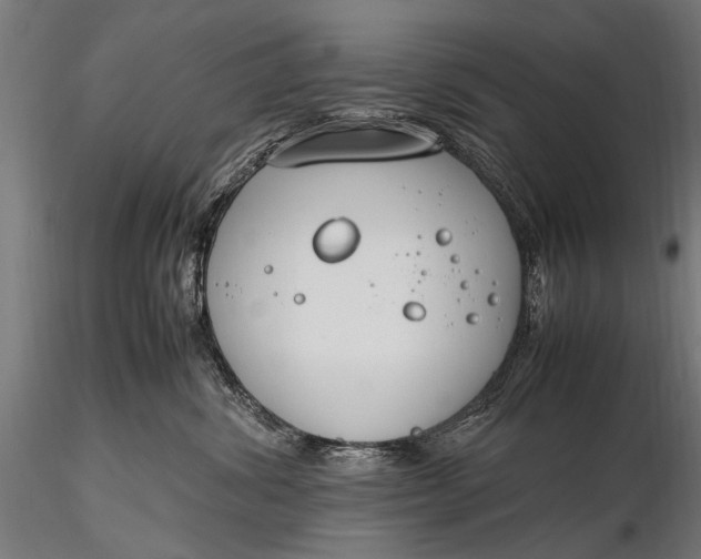 X0000116290428200912141316