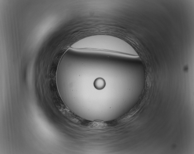 X0000116290429200912141316