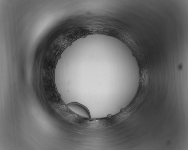 X0000116290430200912141316