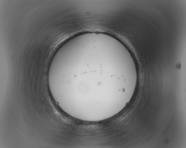 X0000116290433200912141315