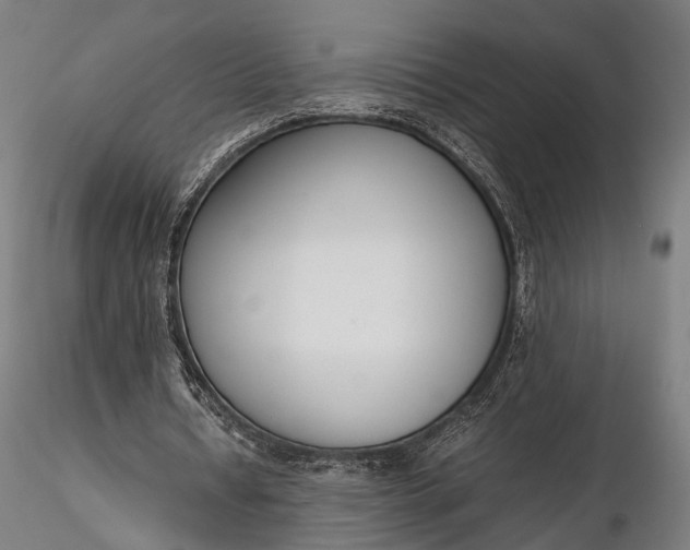 X0000116290434200912141315