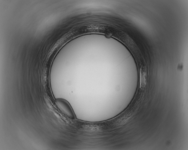 X0000116290435200912141315