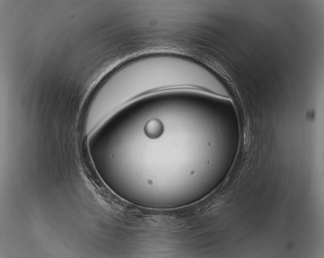 X0000116290436200912141315