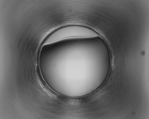 X0000116290438200912141315