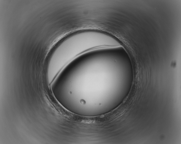 X0000116290440200912141315