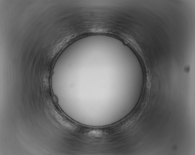 X0000116290441200912141315