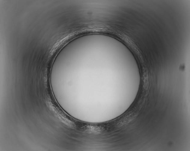 X0000116290442200912141316