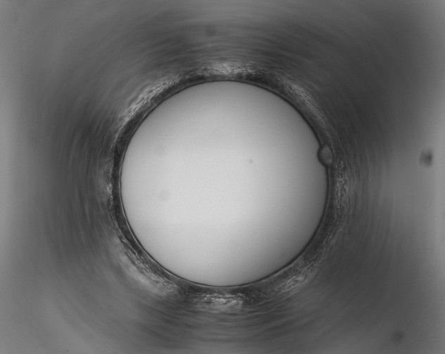 X0000116290443200912141316