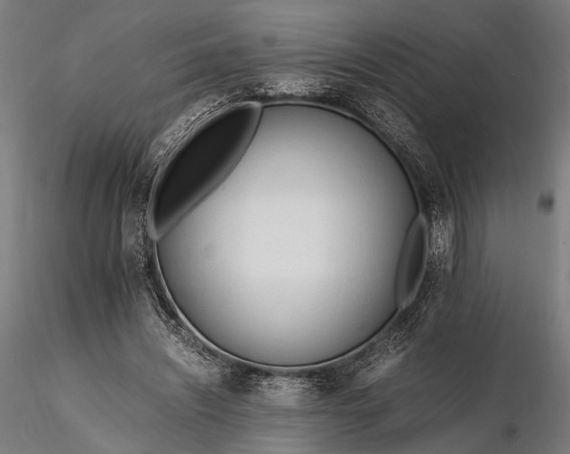 X0000116290444200912141316