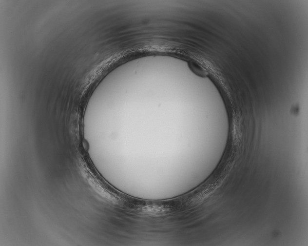 X0000116290445200912141316