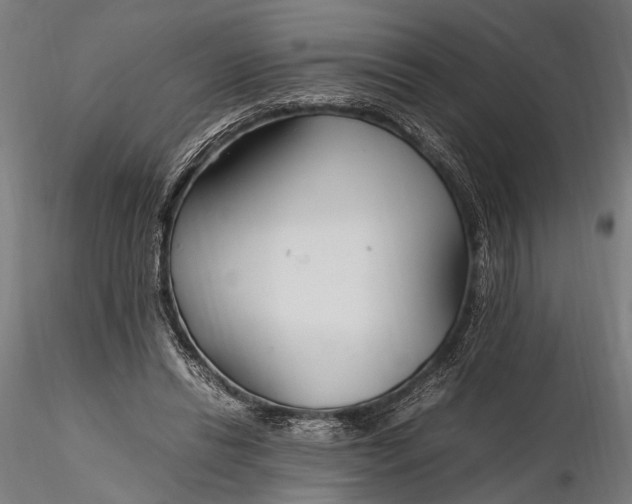 X0000116290446200912141316