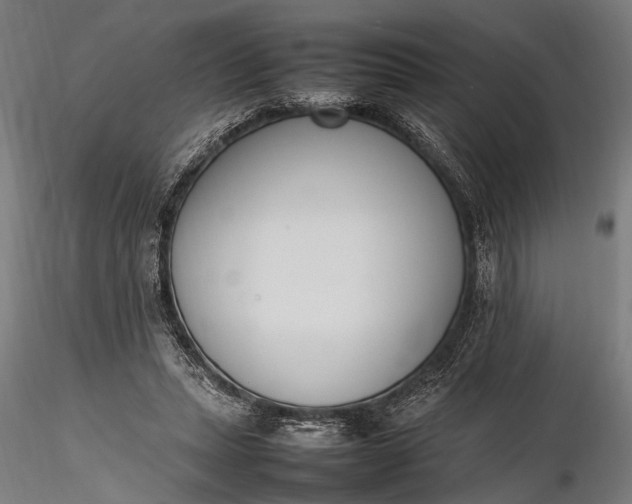 X0000116290447200912141316