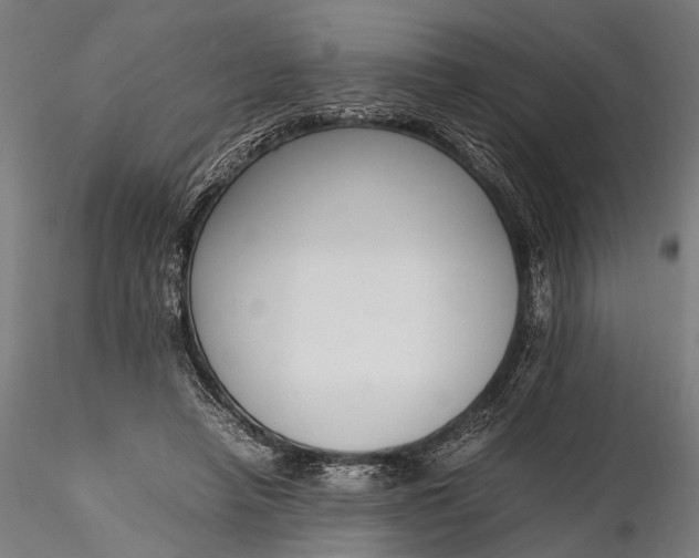 X0000116290450200912141316