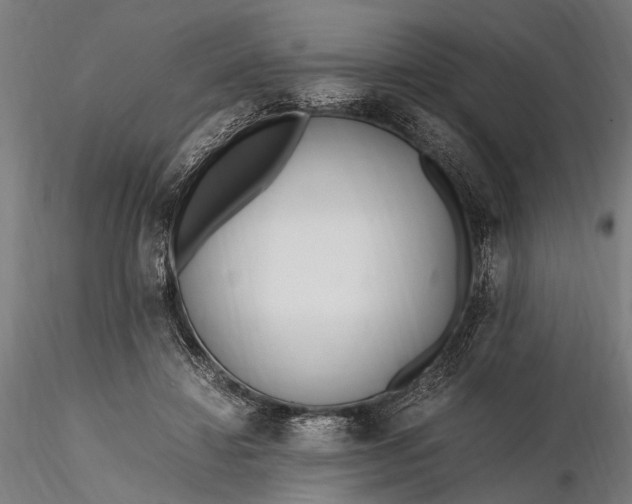 X0000116290452200912141316