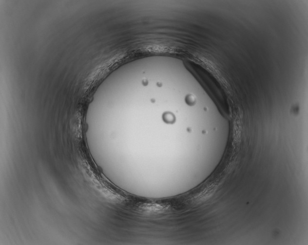 X0000116290453200912141316