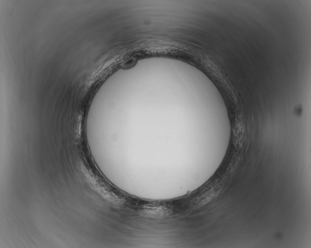 X0000116290454200912141316