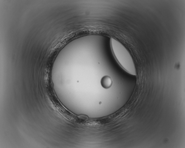 X0000116290456200912141316