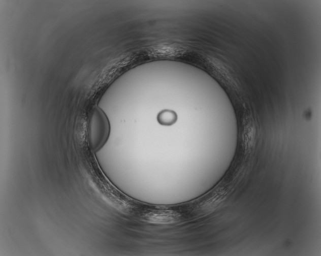 X0000116290459200912141316