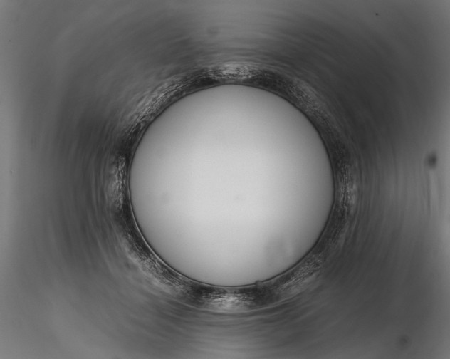 X0000116290460200912141316