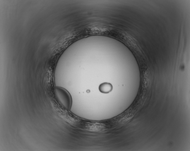 X0000116290463200912141316